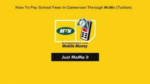 Pay School Fees in Cameroon Through MoMo and MinesecPay