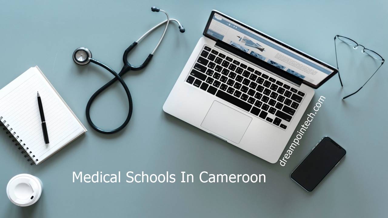 How Many Medical Schools are in Cameroon How Many Medical Schools are in Cameroon