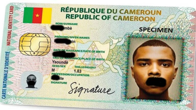 DGSN: Vérifier Si ta CNI ou Passeport Camerounais Est Disponible 2026
