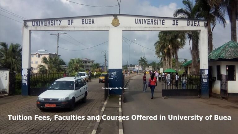 University of Buea