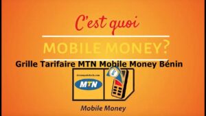grille MTN Momo Cameroun