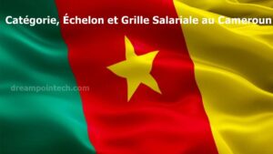 Grille Salariale au Cameroun