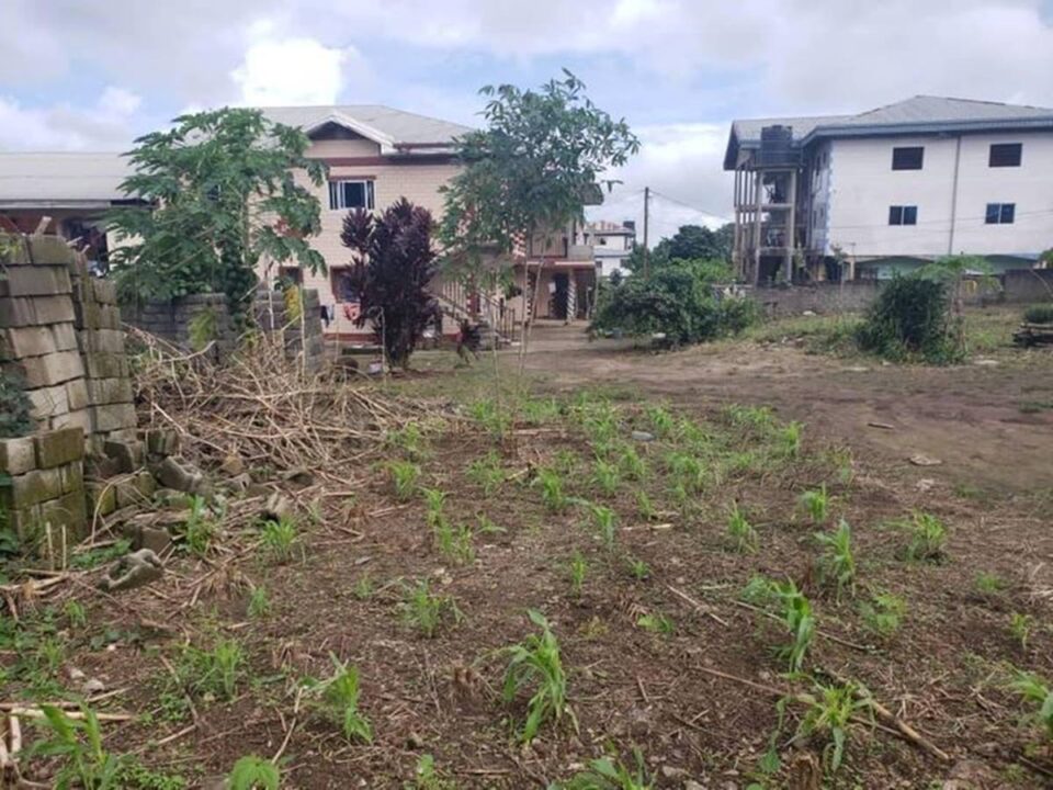 1. The land factor: Buying Land in Cameroon