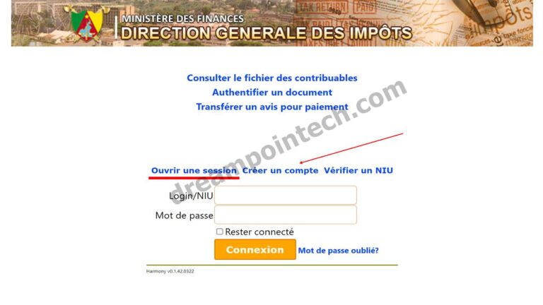 Impots DGI Télédéclaration Attestation en Ligne Cameroun