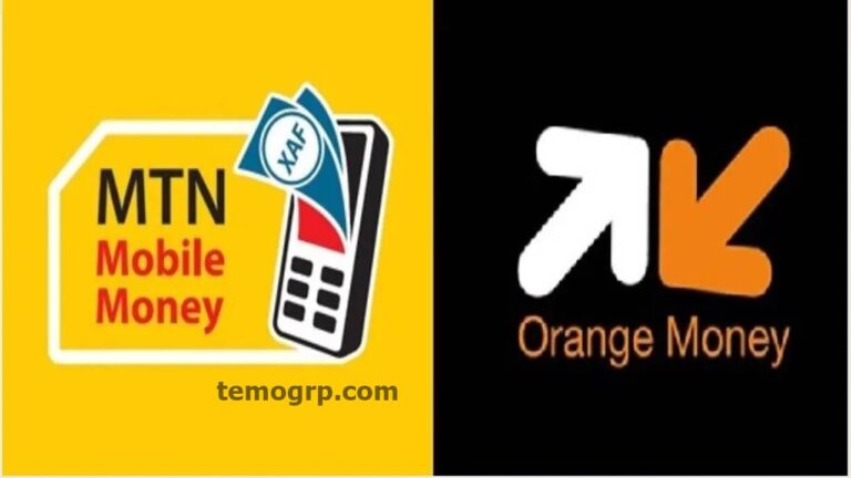 Combien et Comment Ouvrir une Agence Mobile Money au Cameroun