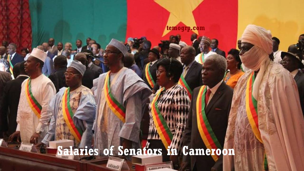 Salaries of Senators in Cameroon