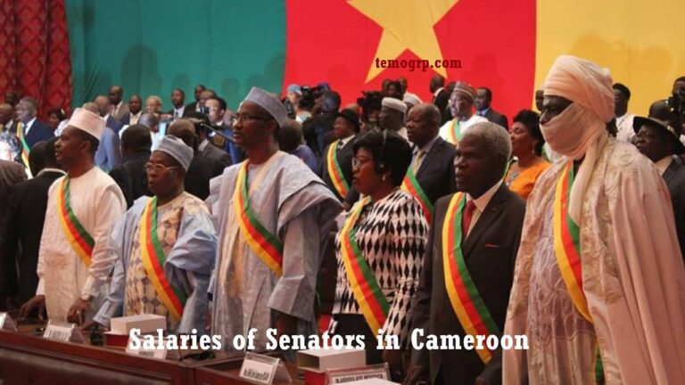 Salaries of Senators in Cameroon 2026 (Bonus/Wages)