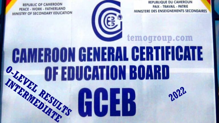 GCE Ordinary Intermediate Level TVE Technical Results 2022