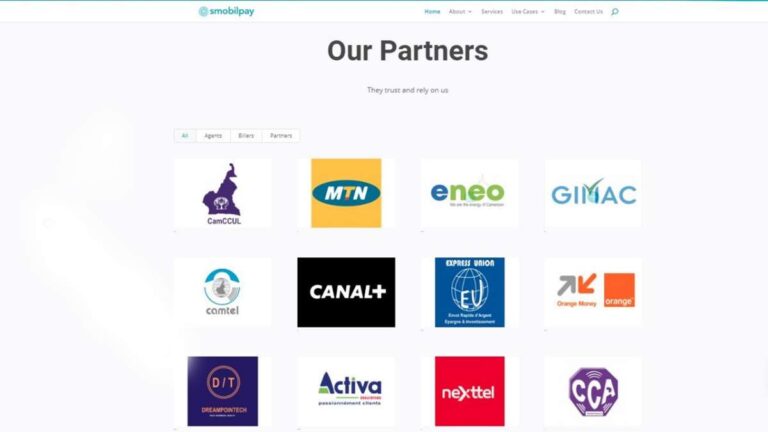 Maviance credit transfer