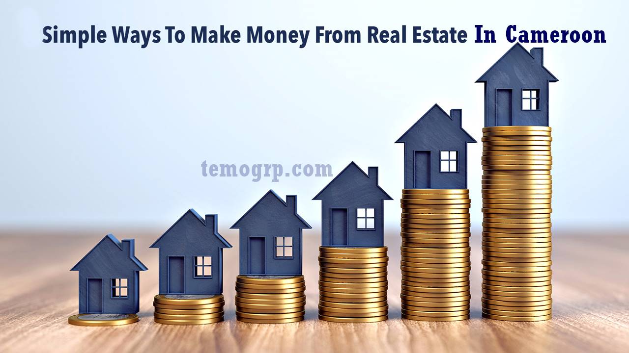 Ways to Make Money from Real Estate in Cameroon 2025