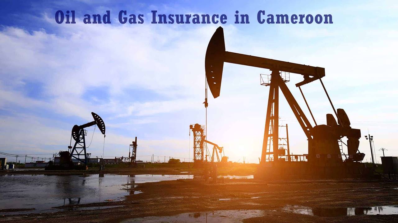 Guide on oil and gas law in Cameroon