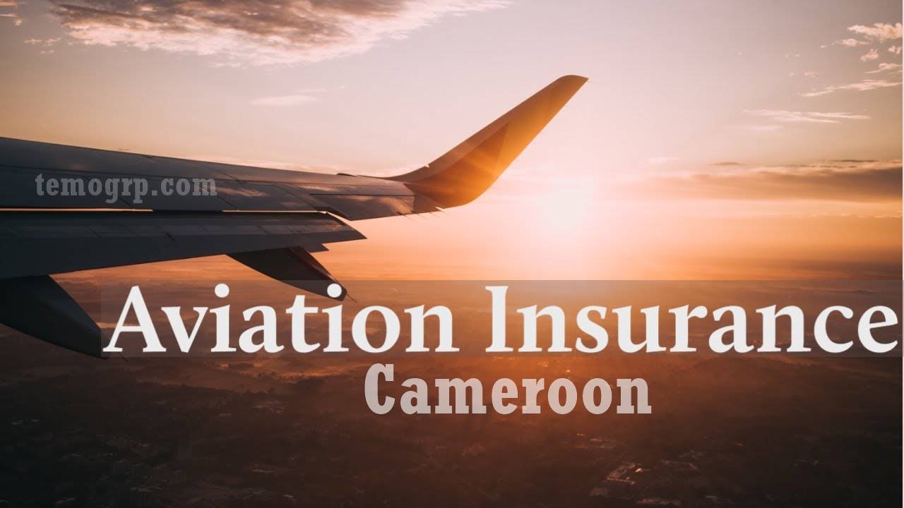 Guide on the Aviation Insurance in Cameroon