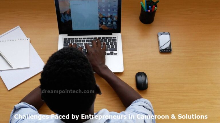 Challenges Faced by Entrepreneurs in Cameroon and Solutions 1
