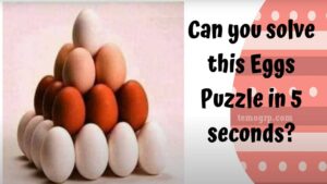 how many eggs are in the picture pyramid puzzle brain test