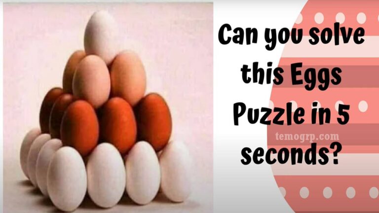 how many eggs are in the picture pyramid puzzle brain test