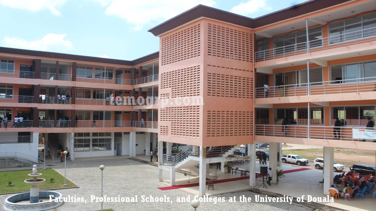 Guide on the professional Schools and Faculties at the University of Douala