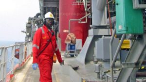 Best Engineering Universities in Cameroon