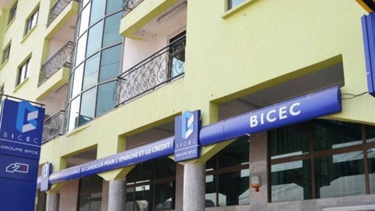 A Guide on BICEC as a money lender in Cameroon