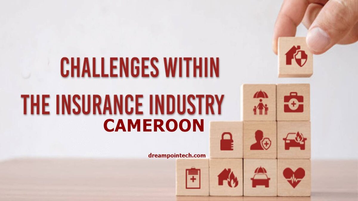 Guide on the problems faced by the insurance industry in Cameroon
