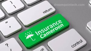 traditional forms of insurance in cameroon