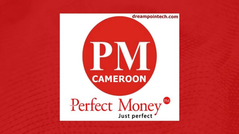 perfect money cameroon