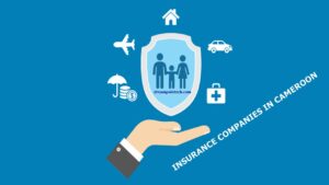 types and list of insurance companies in cameroon 1