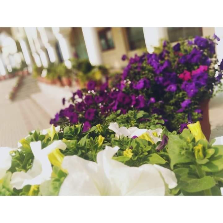 Guide to How Colours Define Photography